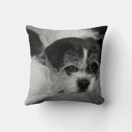 Costomizableはペット写真の装飾用クッションを加えます クッション (裏面)