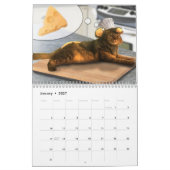 Costumed Catsカレンダー2020 カレンダー (1月 2027)