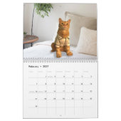 Costumed Catsカレンダー2020 カレンダー (2月 2027)