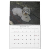 Cotonのカレンダー カレンダー (2月 2026)