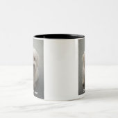 Cotonのマグ ツートーンマグカップ (中央)