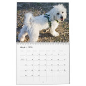 Cotonキャンデー カレンダー (3月 2026)