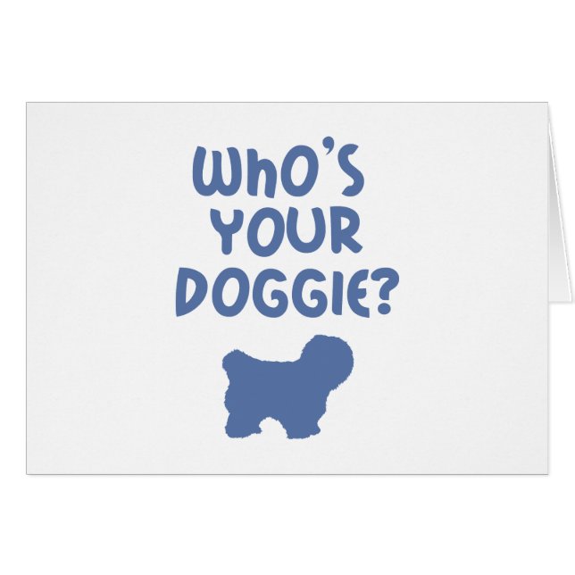 Coton de Tulear (正面横)