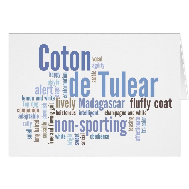 Coton de Tulear (正面横)
