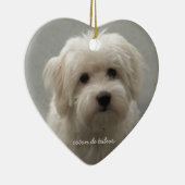 Coton de Tulear セラミックオーナメント (右)
