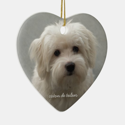 Coton de Tulear セラミックオーナメント (右)