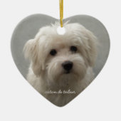Coton de Tulear セラミックオーナメント (正面)
