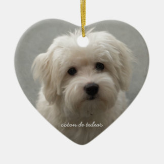 Coton de Tulear セラミックオーナメント