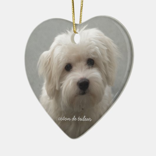 Coton de Tulear セラミックオーナメント (左)