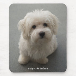 Coton de Tulear マウスパッド