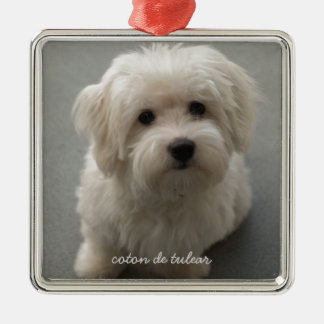 Coton de Tulear メタルオーナメント