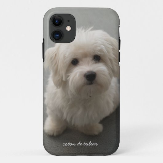 Coton de Tulear Case-Mate iPhoneケース (裏面)