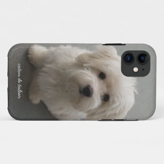 Coton de Tulear Case-Mate iPhoneケース (裏面(横))