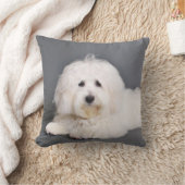 Coton de Tulear - Joci クッション (ブランケット)
