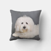 Coton de Tulear - Joci クッション (裏面)