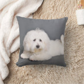 Coton de Tulear - Joci クッション (ブランケット)