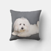 Coton de Tulear - Joci クッション (裏面)