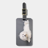 Coton de Tulear - Joci ラゲッジタグ (正面縦)