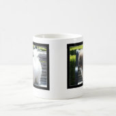 Coton de Tulear Puppyのマグ コーヒーマグカップ (中央)