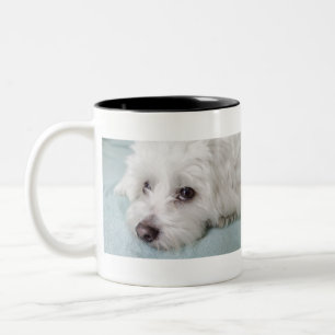 Coton de Tulear Puppyの目 ツートーンマグカップ