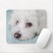 Coton de Tulear Puppyの目 マウスパッド (マウス)