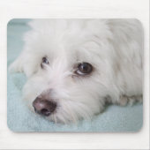 Coton de Tulear Puppyの目 マウスパッド (正面)