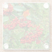 Cotoneasterの裂片 ガラスコースター (裏面)