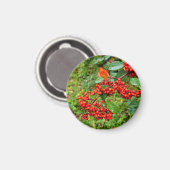 Cotoneasterの裂片 マグネット (正面/裏面)