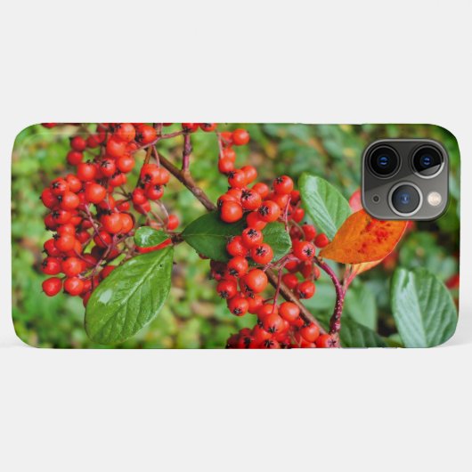Cotoneasterの裂片 Case-Mate iPhoneケース (裏面(横))