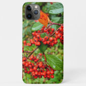 Cotoneasterの裂片 Case-Mate iPhoneケース (裏面)