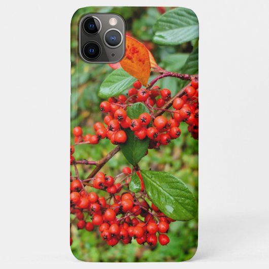 Cotoneasterの裂片 Case-Mate iPhoneケース (裏面)