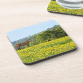 Cotswolds、イギリス コースター (左側)