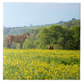 Cotswolds、イギリス タイル (正面)