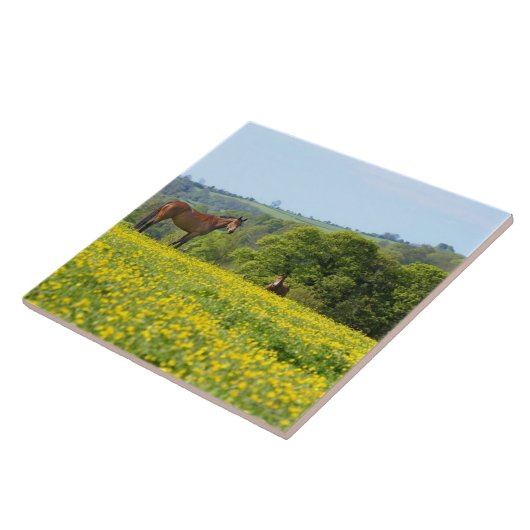 Cotswolds、イギリス タイル (側面)