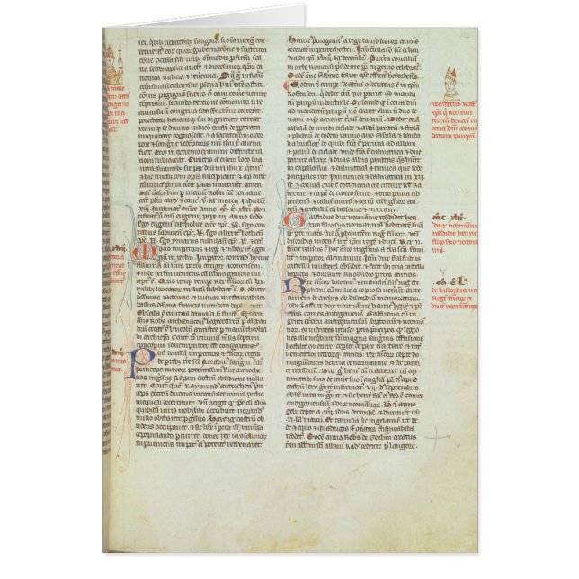 Cott Nero D II f.114エイドリアンIV (正面)