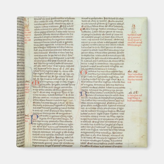 Cott Nero D II f.114 Adrian IV マグネット (正面)