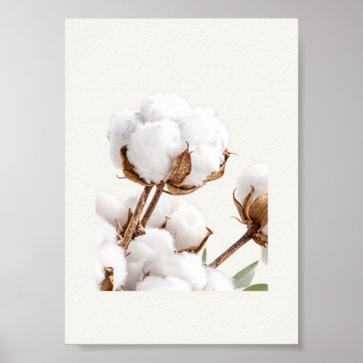 Cotton Branch Wall Art | Botanical Farmhouse ポスター (正面)