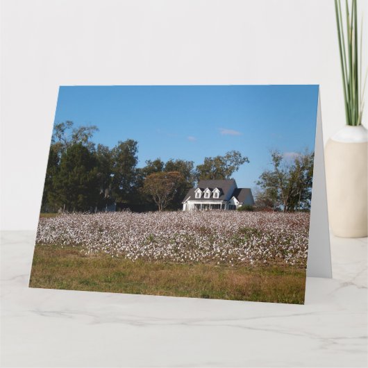 Cotton Field in Georgia with Home Card カード (正面)