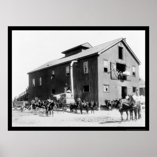 Cotton Gin in Dahomey, MS 1898 ポスター (正面)