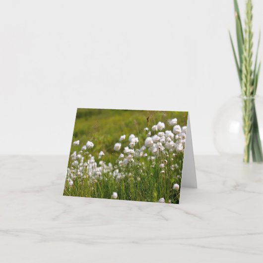 Cotton Grass Meadow - 4" x 5.6" Notecard シーズンカード (正面)