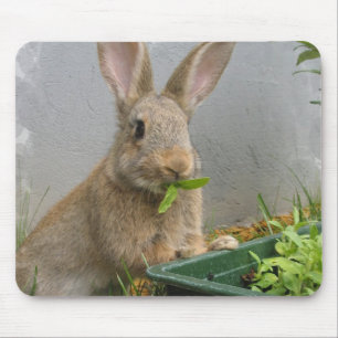 Cottontailウサギのマウスパッド マウスパッド