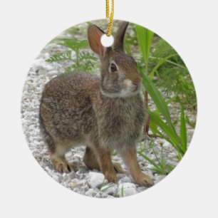 Cottontailウサギ セラミックオーナメント