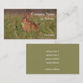 Cottontailウサギ 名刺 (正面/裏面)