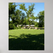 Cottonwood Falls  Kansas ポスター (正面)