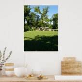 Cottonwood Falls  Kansas ポスター (キッチン)