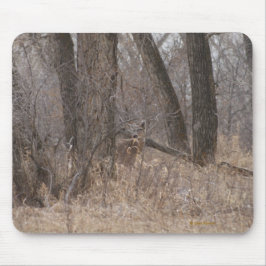 Cottowoodの木のD1白tailededシカ マウスパッド