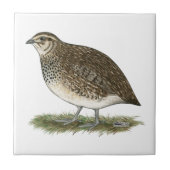 Coturnixのウズラの雌鶏 タイル (正面)