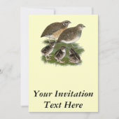 Coturnixのウズラ家族 招待状 (正面)