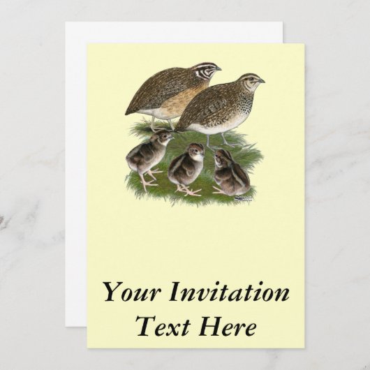 Coturnixのウズラ家族 招待状 (正面/裏面)