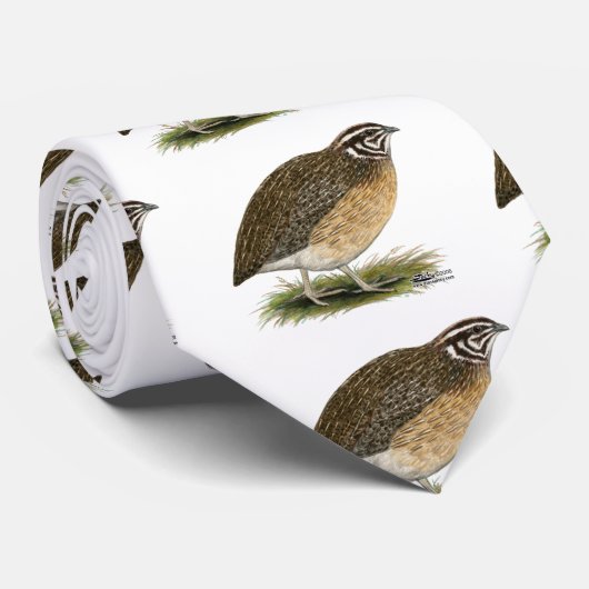 Coturnixのファラオのウズラ ネクタイ (ロール)